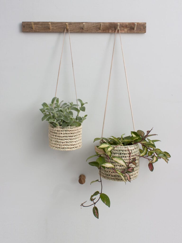 indoor house plants. One stood in a pot on the floor, two hung in slings on a peg rail.