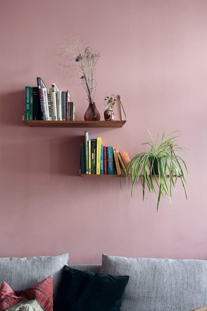 A wall painted in dusky pink with two shelves laden with books. Below you can see the top of a grey velvet sofa and some cushions.