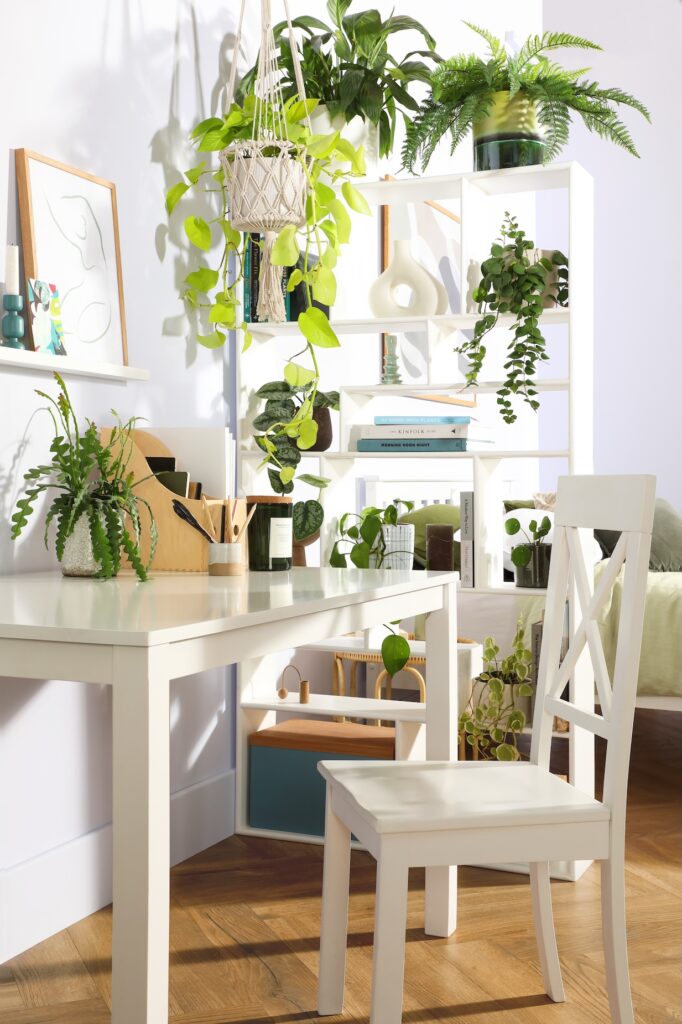 Lifestyle shoot - Biophilic