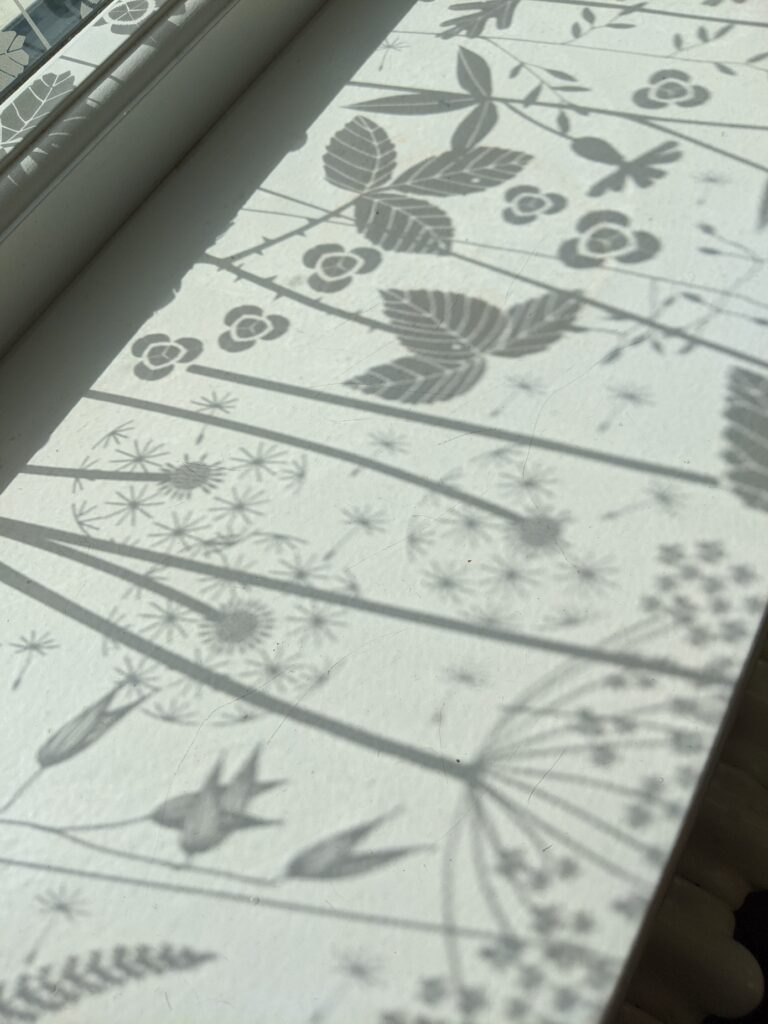 Hannah Nunn, HEDGEROW window film shadows