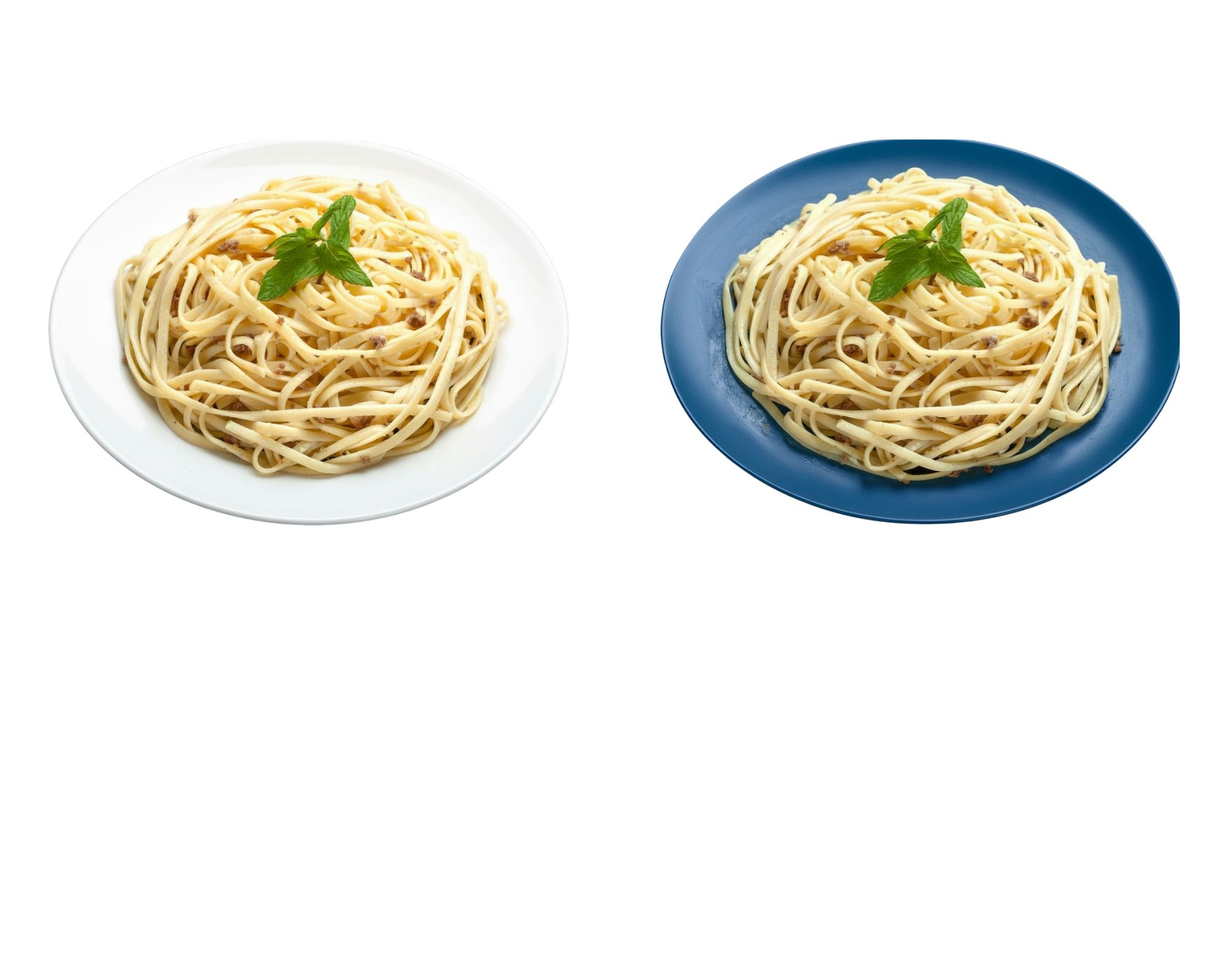 Contrasting coloured plates for people living with Dementia